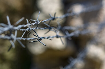 barbed wire
