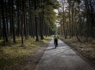 Obraz premium Radtour im Wald