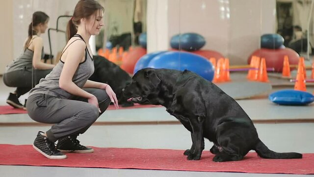 The trainer training a dog in the gym