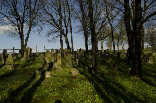 cmentarz żydowski kirkut