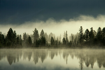 Fog over the forest by the shore of the lake. Yakutia, lake Darpir.