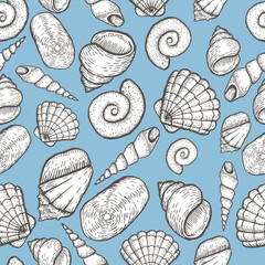 Seashell collection hand drawn aquatic doodle vector illustration. Sketch.