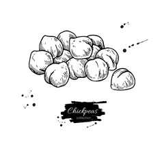 Chickpeas hand drawn vector illustration. Isolated Vegetable engraved style object.