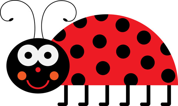 Ladybug on a white background