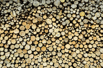 Stack of chopped wood