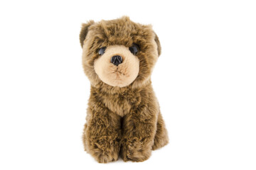 Teddy bear isolated on white background photo.