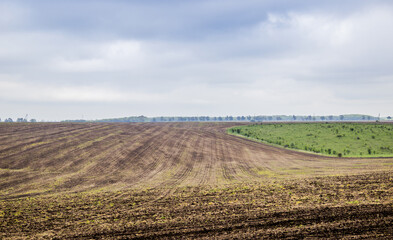 Fototapeta na wymiar arable field farm
