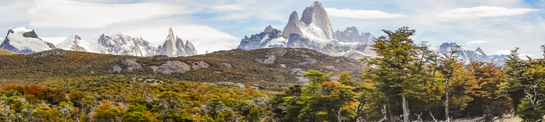 Wall murals Fitz Roy Patagonia Andes Mountain, El Chalten, Argentina