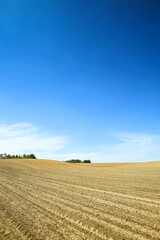 Cultivated fields under the blue sky of Bavaria, Germany.