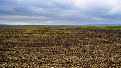 arable field farm