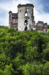 Fototapeta na wymiar old castle ruins