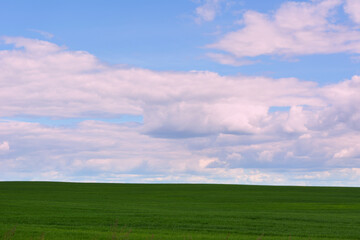 Beautiful spring landscape: green field against the sky, nature 