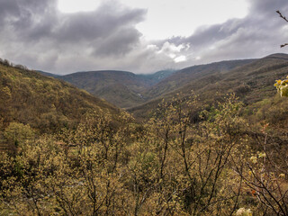 Obraz premium 'Valle del Jerte' in Extremadura, Spain