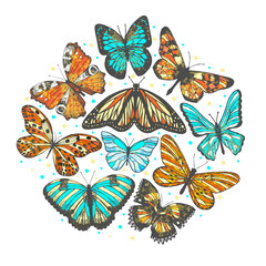 vector round composition with hand drawn butterflies