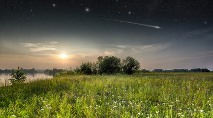 magical fairy forest