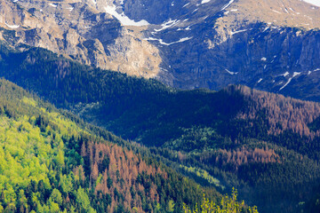 Fototapeta premium View at Tatra National Park