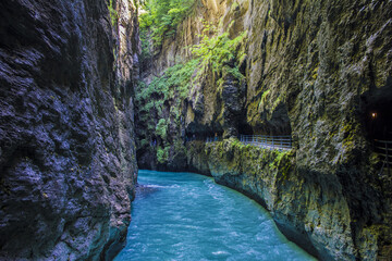 colores de la naturaleza