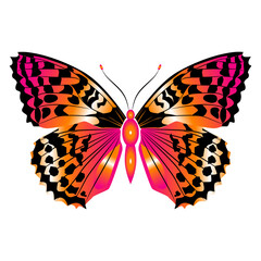 Bright beautiful red butterfly. Vector illustration isolated.