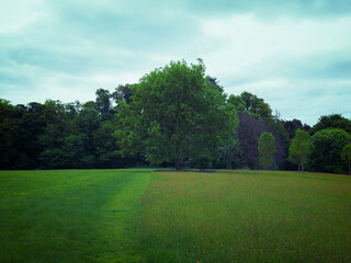 Fototapeta premium summer countryside,Northern Ireland