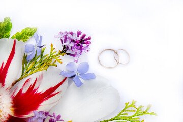 Colorful spring flowers isolated on white background.