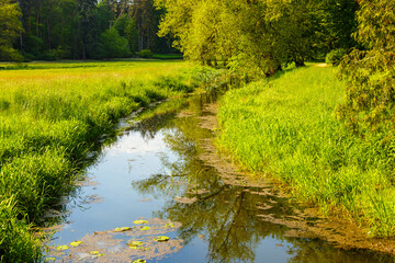 Stream flowing through the spring dendrological garden