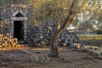 Old country house in Salento at sunset - Italy