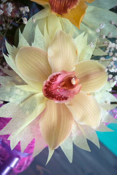 One Orchid closeup of a bouquet of three orchids beautifully decorated on wooden background concept birthday flowers