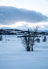 Winter in East Norway