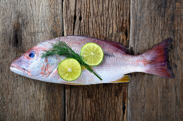 Red snapper fish from fishery market.