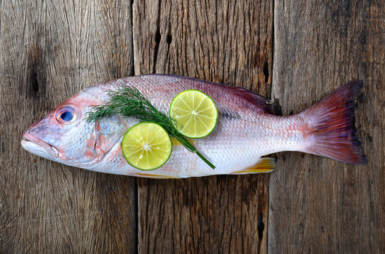 Red snapper fish from fishery market.