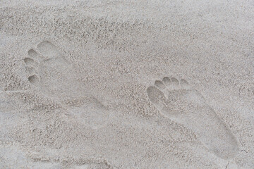 Fototapeta na wymiar Foot Prints in the Sand
