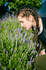 Closeup portrait of attractive woman smelling lavender flowers, sunny outdoors background