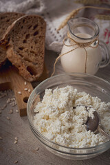 Fresh dairy products. Milk, cottage cheese, sour cream, multigrain homemade bread and wheat on rustic wooden background.