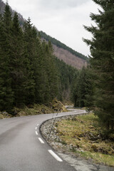 Fototapeta na wymiar Roads in Norway