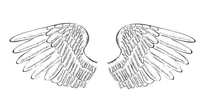 Symbol of Freedom - Wings of Freedom Icon Concept -  Vector Illustration  