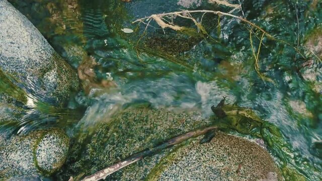 Flowing creek