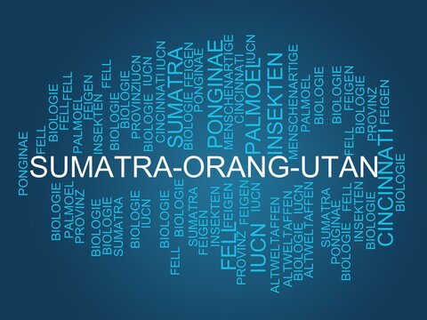 Sumatra-Orang-Utan