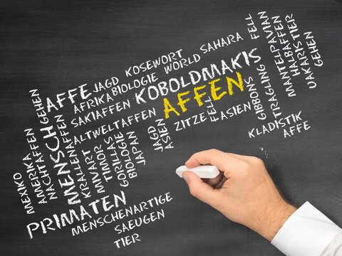 Affen