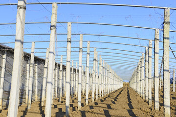 Greenhouses is under construction