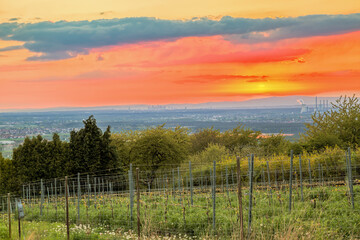 Sonnenuntergang &uuml;ber der Mainebene