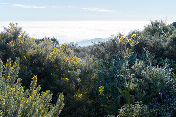 Fototapeta na wymiar Hiking in idyllic nature of Gran Canaria, Spain
