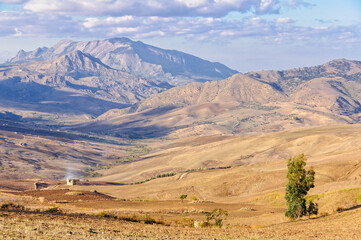 Obraz premium Ploughed fields and the Sicani Mountains between Agrigento and Palermo - Sicily, Italy