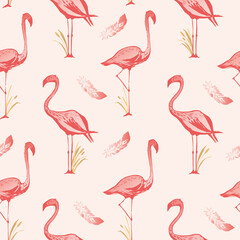 Flamingo seamless pattern. Vector background design with flamingos for wallpaper, fabric, textile.