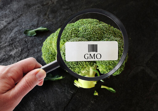 GMO food label