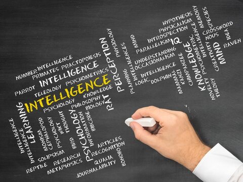 Intelligence