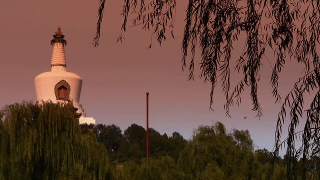 BeiJing BeiHai Park White Tower&Tibetan Buddhism.willow branch in wind at dusk.
