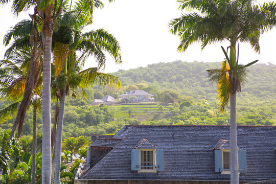 Antigua, Roof Of Nelson's Dock Yard And Palms Against Of English Harbour Hills