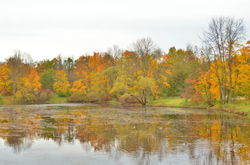 Park and pond at autumn.
