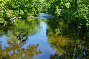 Trees reflecting in the water 