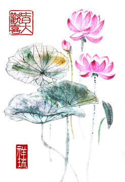 Chinese-style drawings, sketches, Lotus,Water Lilis